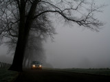 car  in the fog.