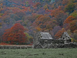 autumn ruins