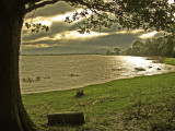 evening lake view.