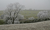 hoar frost (stiperstones)