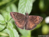 Vac2010-057.JPG