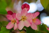DSC_0470 Untitled.jpg