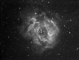 ROSETTE NEBULA IN HA ONLY