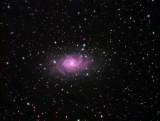 M 33 WIDE FIELD