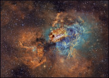 The Swan nebula