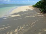 On our next-to-last day, we headed to the northeast corner of the island and Luquillo beach...
