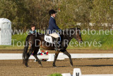 Initiation Poney Junior - 21 septembre 2012
