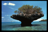 Aldabra lagoon_resize.jpg