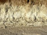 salton sea 20