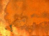 salton sea 42