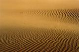 early morning, mesquite flat dunes 01, death valley, 2003