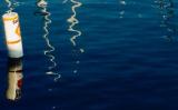 crooked masts, monterey bay, 2004