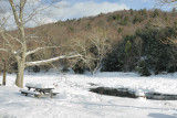 DSC_6950.jpg