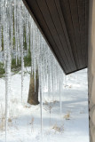 DSC_6961.jpg