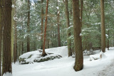 DSC_6970.jpg