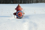 DSC_6981.jpg