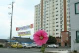 flower and apartments in õ