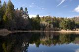 Pond with reflection