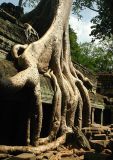 Ta Phrom temple, Nr Siem Reap Cambodia