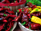 Baskets of chiles