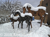 Ponies in snow