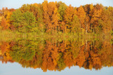 Fort Custer Recreation Area 