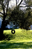 Country Swing