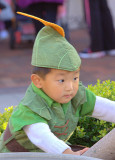 Robin Hood Wannabe