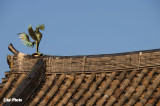 DSC_6341.jpg