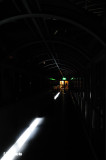 DSC_6554.jpg