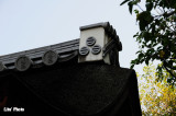 DSC_6770.jpg
