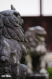DSC_7013.jpg