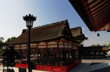 DSC_7819.jpg