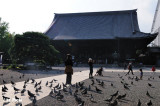 DSC_7997.jpg
