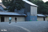 DSC_8085.jpg