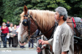 DSC_8309.jpg