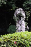 DSC_0066.jpg