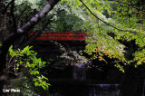 DSC_0157.jpg