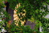 DSC_0184.jpg