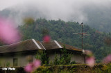 DSC_0229.jpg