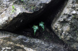 DSC_0295.jpg