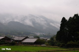 DSC_0389.jpg