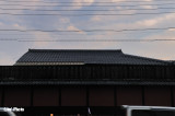 DSC_0418.jpg