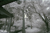 DSC_3382.jpg