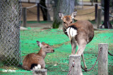 DSC_1212.jpg