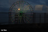 DSC_1824.jpg