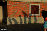 DSC_6074.jpg