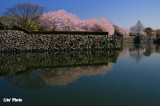 DSC_8640.jpg