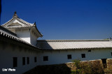 DSC_9060.jpg