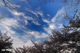 DSC_9080.jpg